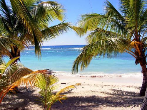 Dominikai nyaralás - ide menekülj a tél elől!